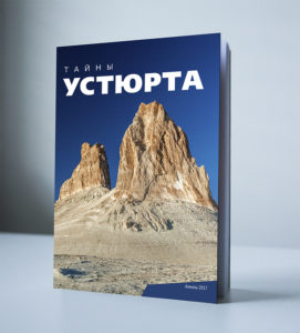 book cover - print design portfolio