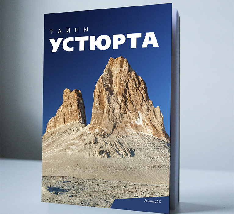 book cover - print design portfolio
